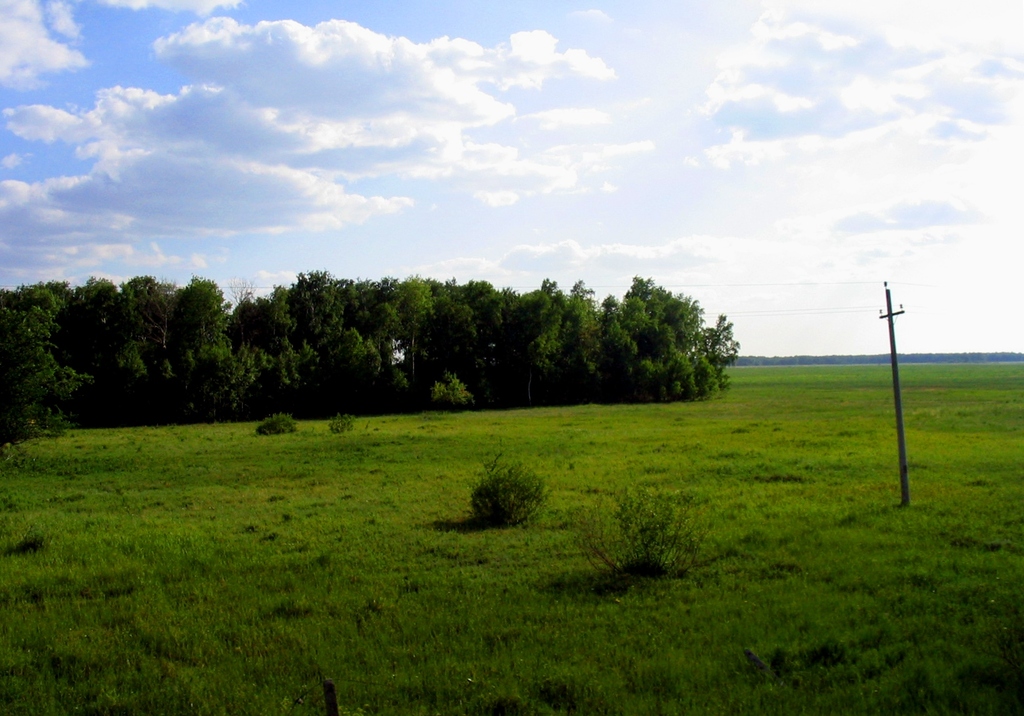 Казахстан. Лето 2004.
