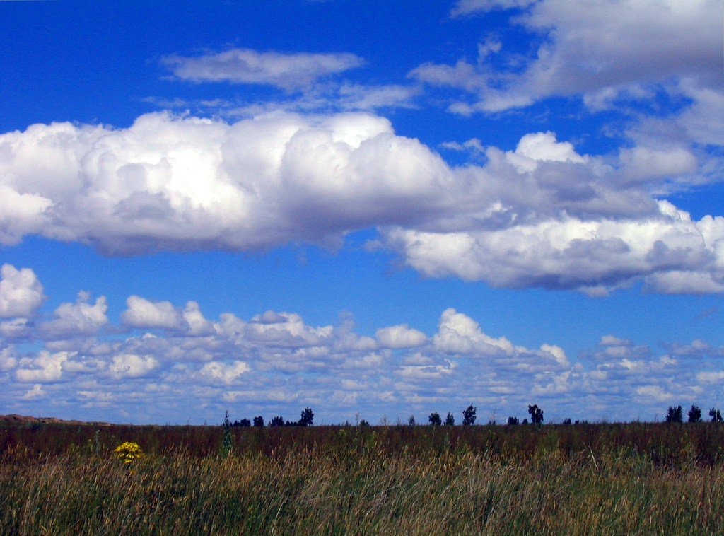Кулунда, Алтайский край. Лето 2004.