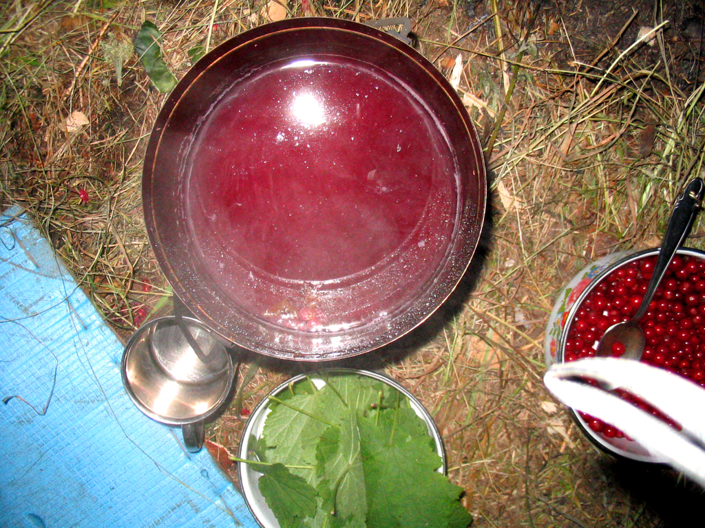 Горный Алтай. Телецкое озеро. Лето 2004.