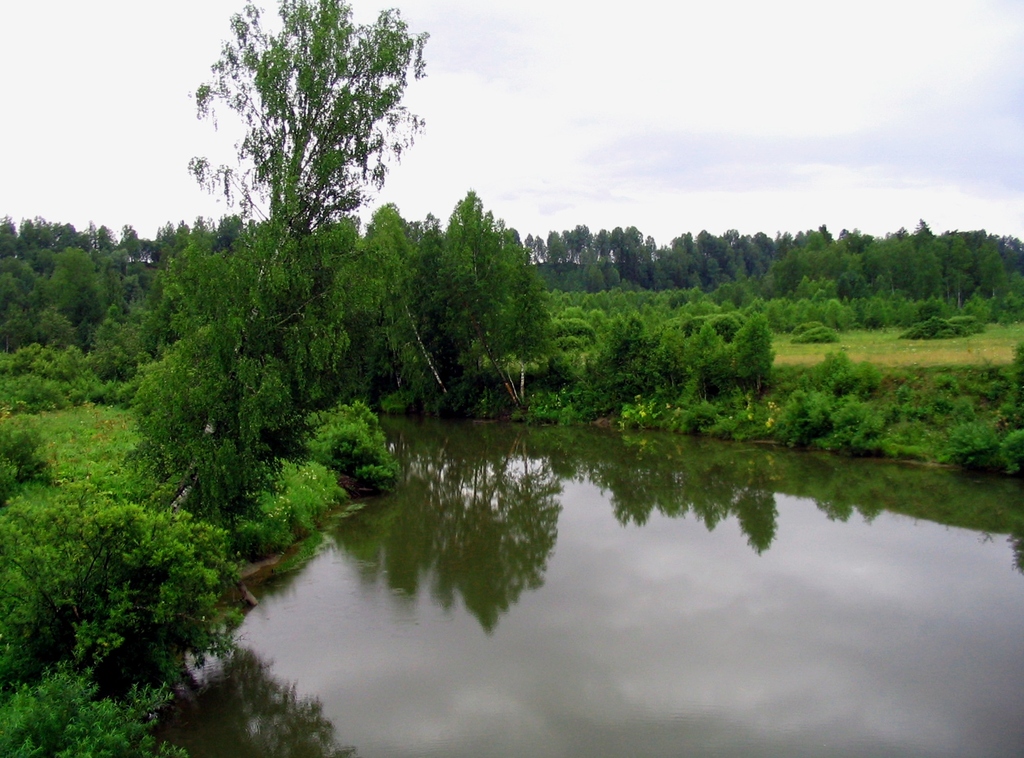 Горный Алтай. Река Тулой. Лето 2004.