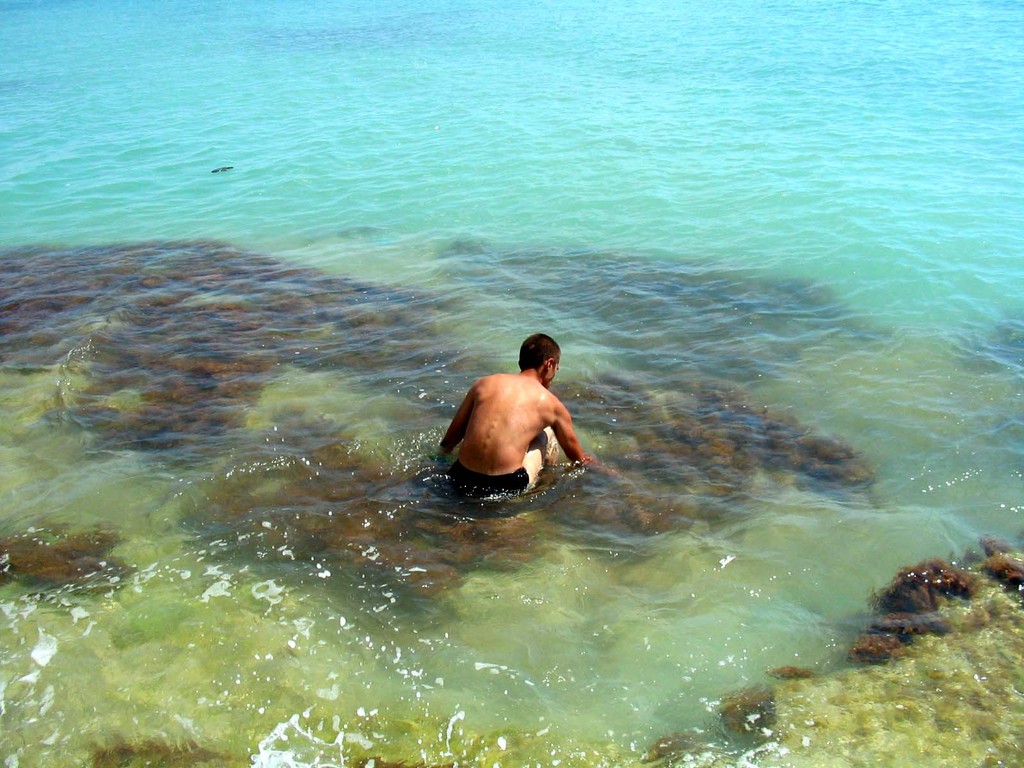 Черное море. Лето 2004.