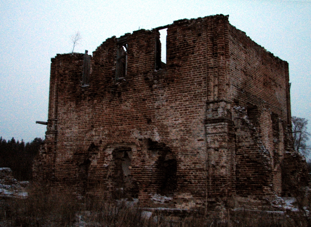 Калужская область, Жуковский район д. Рыжково. Церковь Успения Пресвятой Богородицы. Зима 2011.