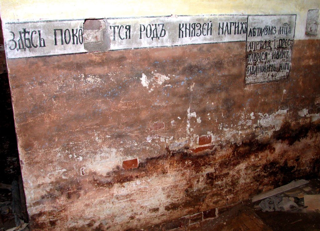 Владимирская обл., Кольчугинский р-н, ур. Благовещенский Погост. Осень 2008.