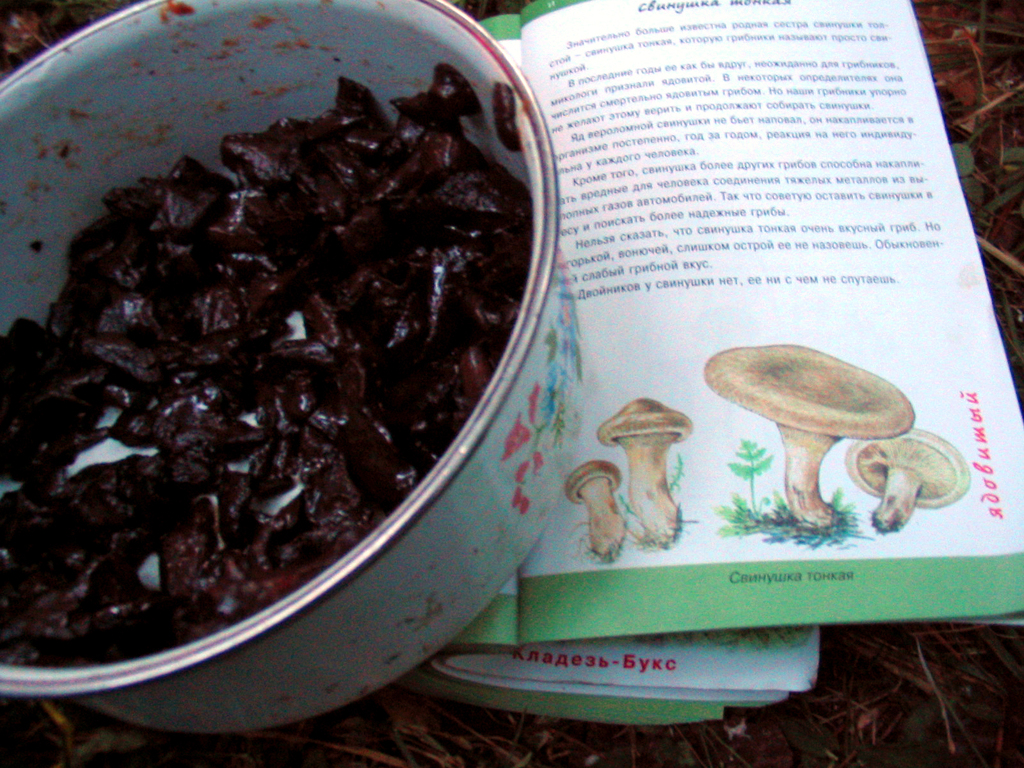 Слюдя́нка — город Иркутской области. Лето 2004.