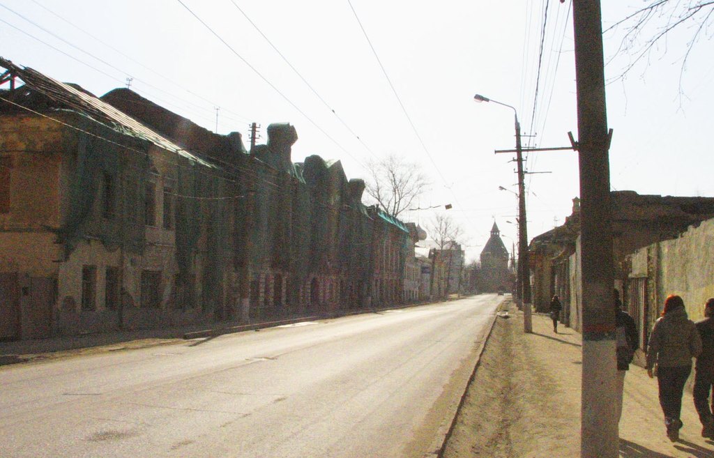 Тульская область. В электричке. Весна 2008.