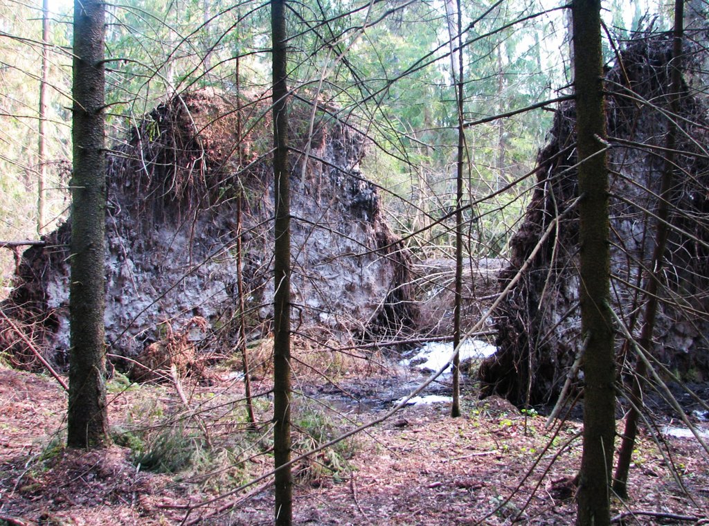Шушмор. Весна 2008.