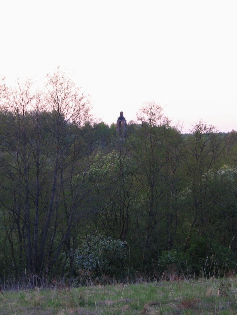 Церковь Рождества Богородицы в Ковырево Кольчугинского района Владимирской области. Май 2008.
