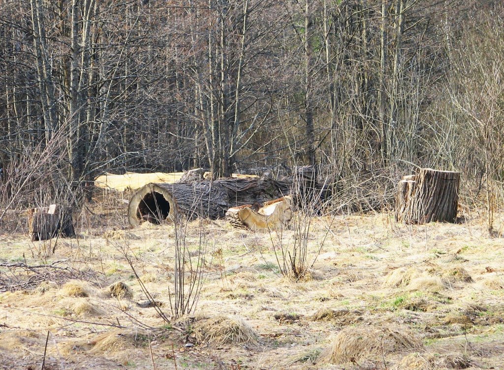 Шушмор. Весна 2008.