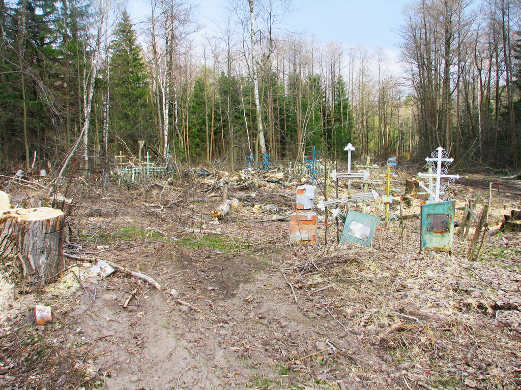 Московская область. ур. Троица Чижи. Кладбище. Весна 2008.