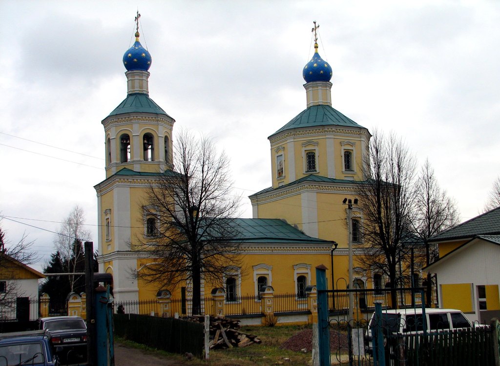 Московская обл., Чеховский р-н, с. Новоселки. Зима 2008.