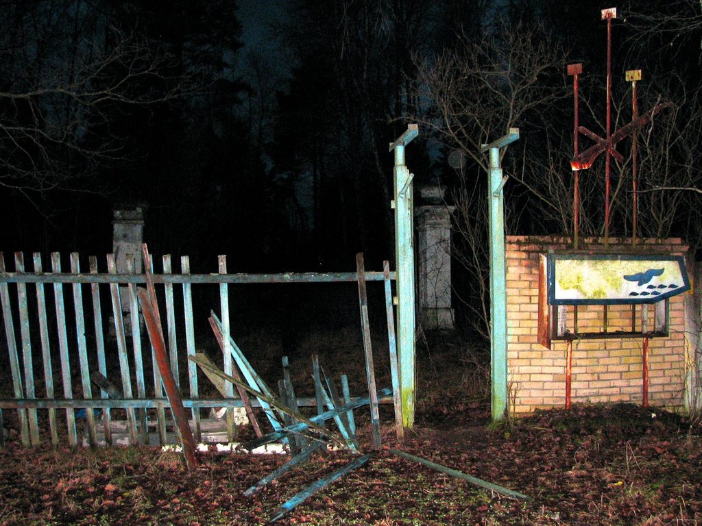Московская обл., Серпуховский р-н, район пос. Пролетарский. Пионерский лагерь "Буревестник". Зима 2008.