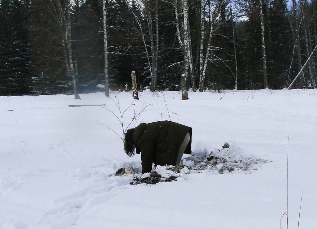 Московская область. Весна 2009.