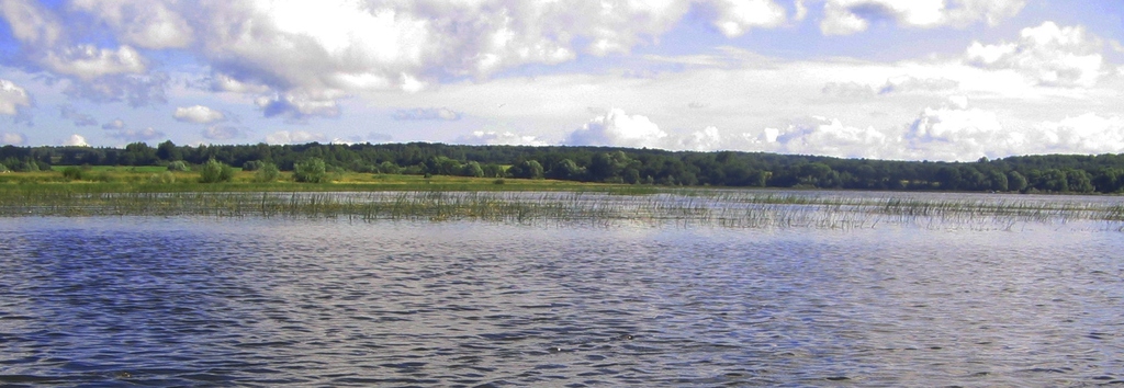 Озерковское водохранилище. Лето 2008.