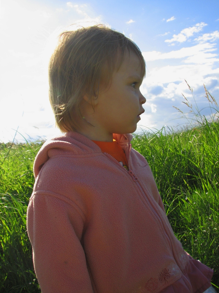 Озерковское водохранилище. Лето 2008.