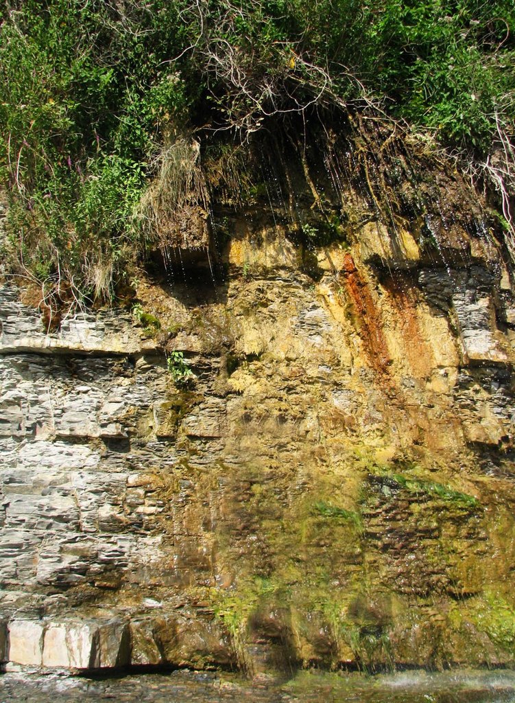 Краснодарский край. Утриш. Лето 2008.