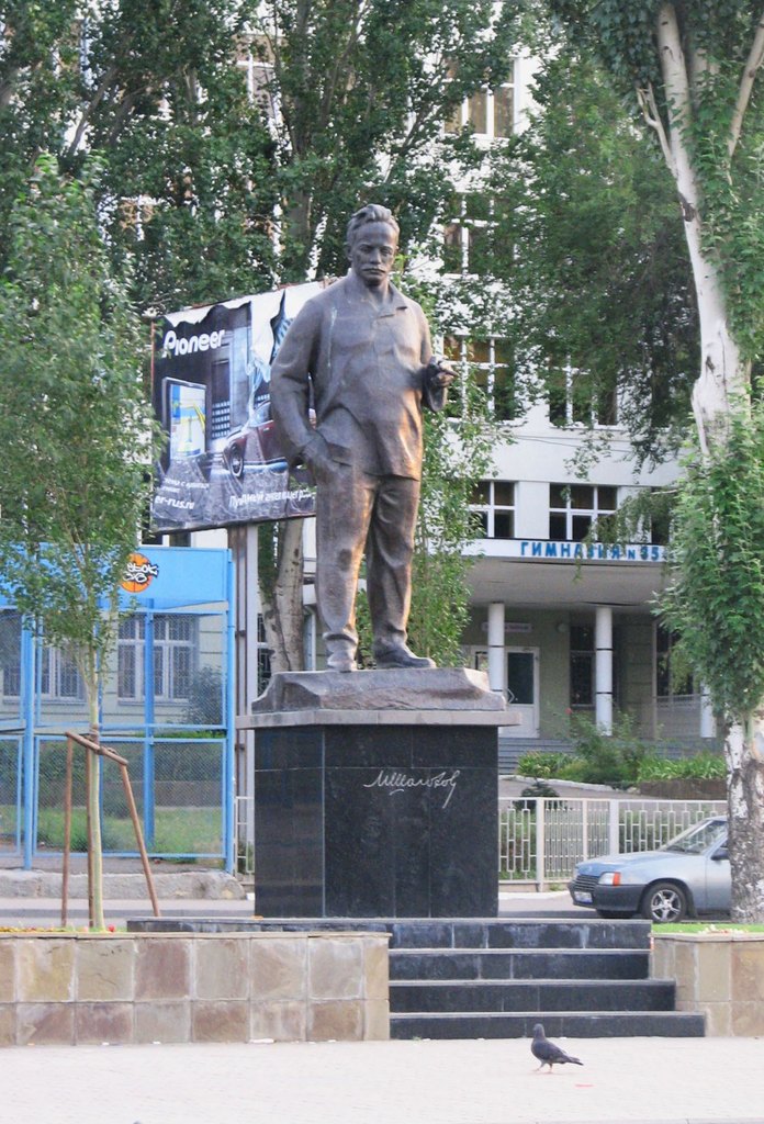 г. Ростов-на-Дону. Лето 2008.