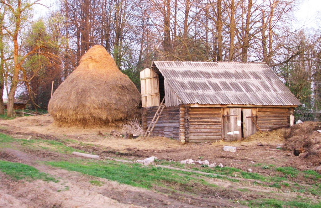 Ярославская область, Переславский район д. Веска. Церковь Николая Чудотворца. Весна 2009.