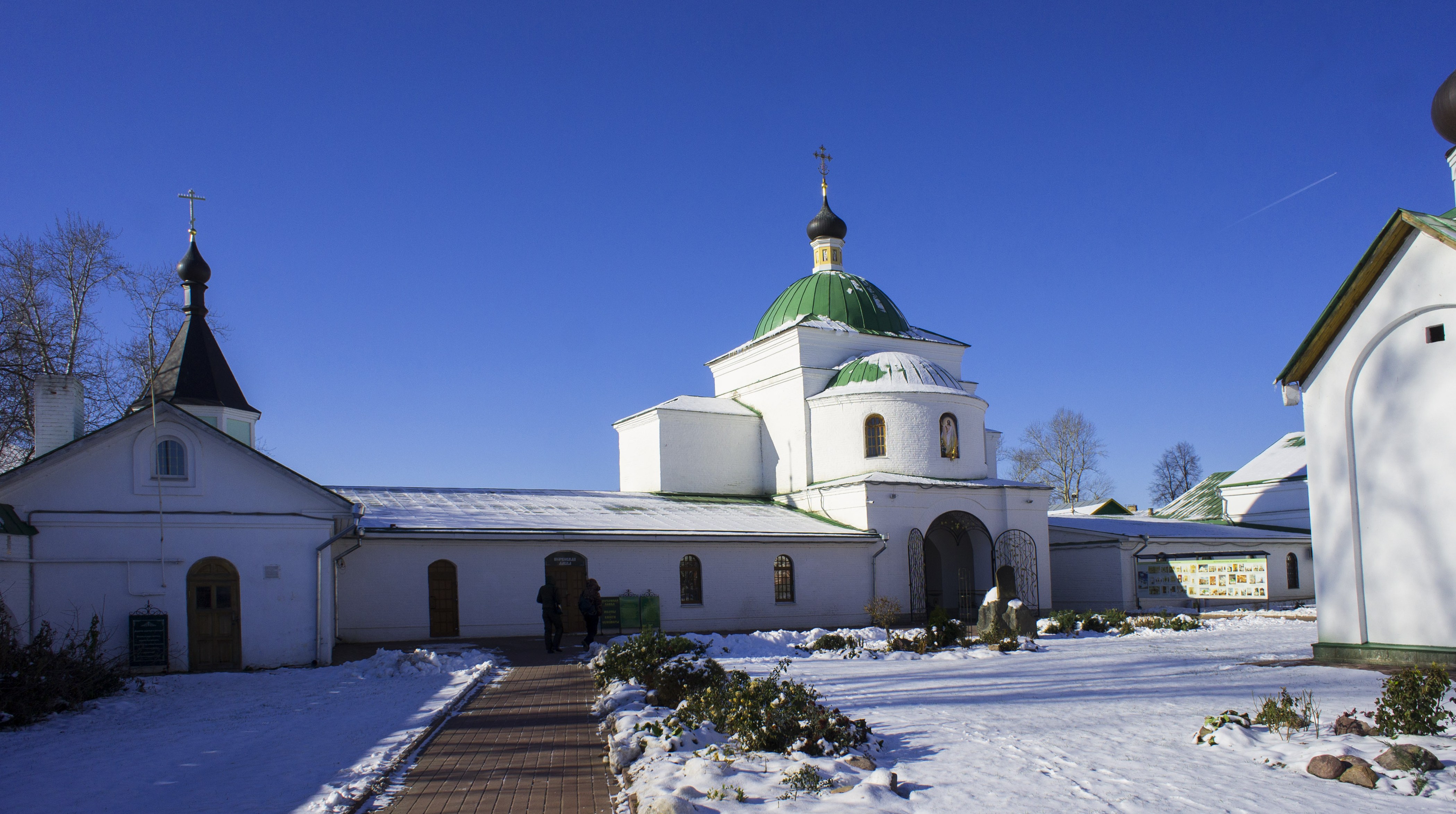 Фото мураши кировская область