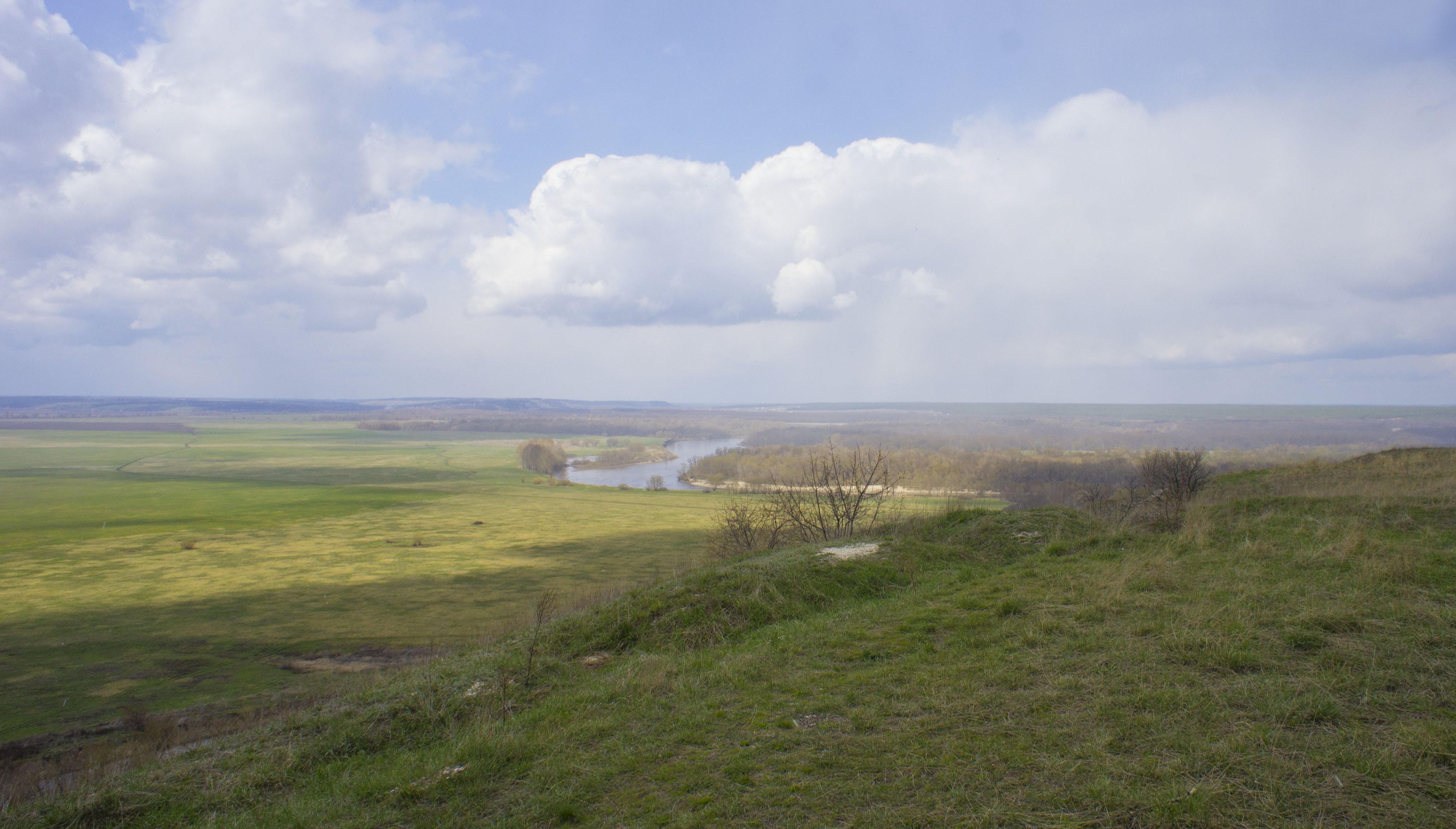 Нелжа Воронежская область